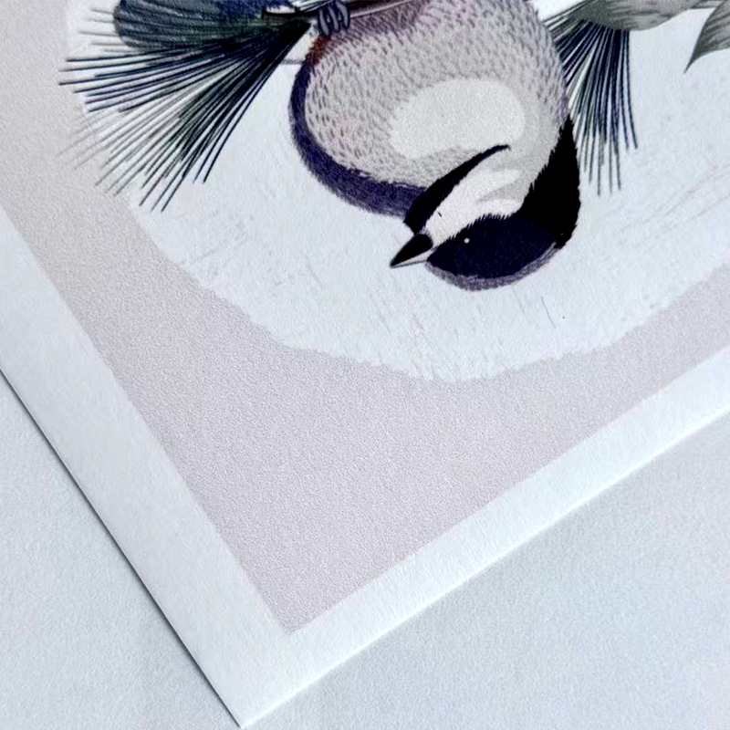 Pre-Paste Wallpaper