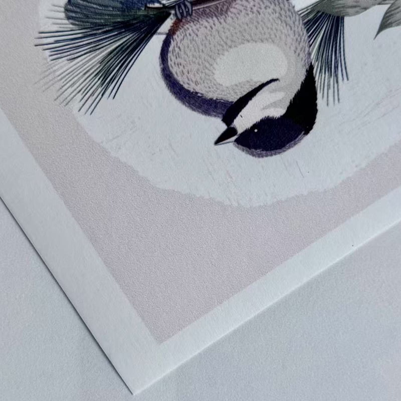 Printable Coated Non-woven Wallpaper M-NP180E0-P