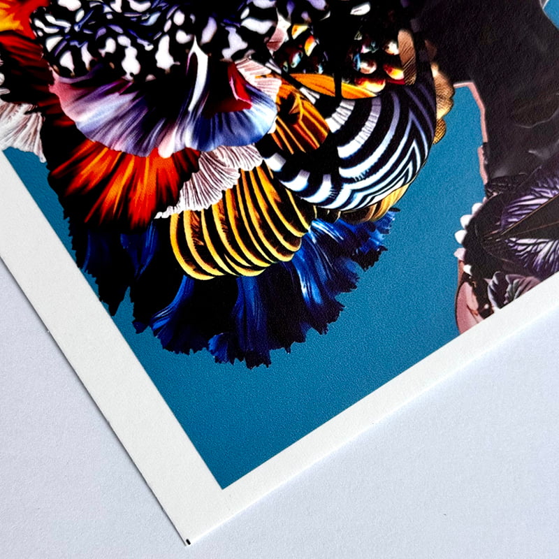 Printable Coated Non-woven Wallpaper M-NP320E0